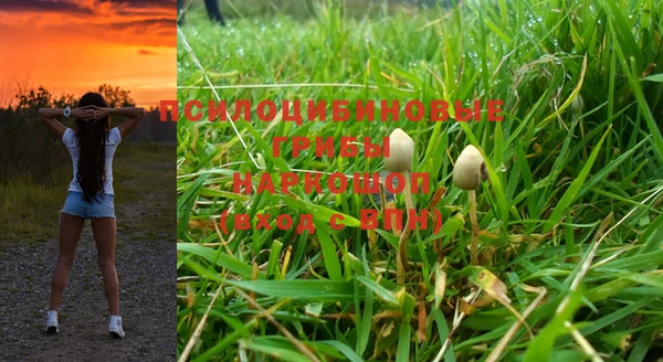 трава Абаза